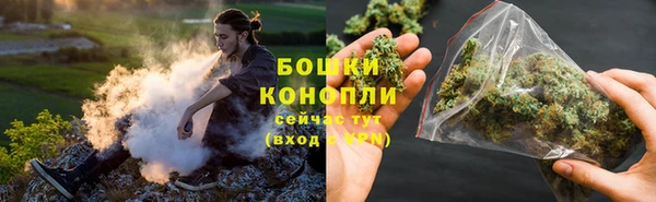 индика Белоозёрский