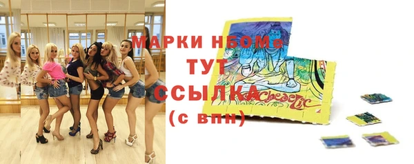 индика Белоозёрский