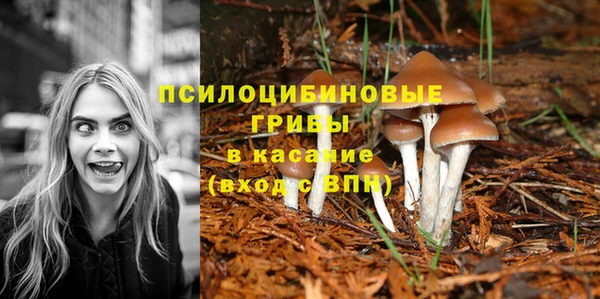 марки nbome Белокуриха