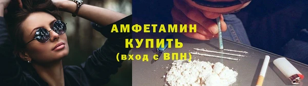 индика Белоозёрский