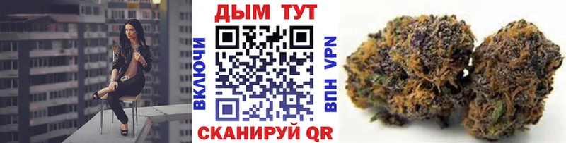где купить наркоту  MEGA ТОР  Шишки марихуана план  Волгореченск 